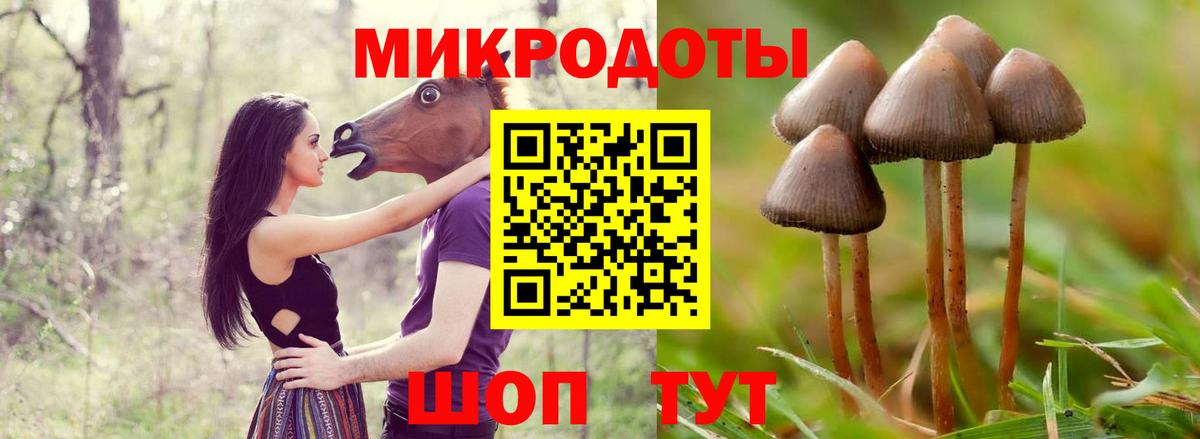 Псилоцибиновые грибы MAGIC MUSHROOMS  Вход с VPN  Ишим 
